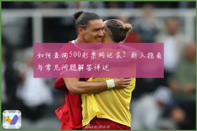 如何查询500彩票网记录？新人指南与常见问题解答详述